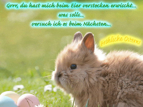 Velikonoční zajíček s přáním v němčině.