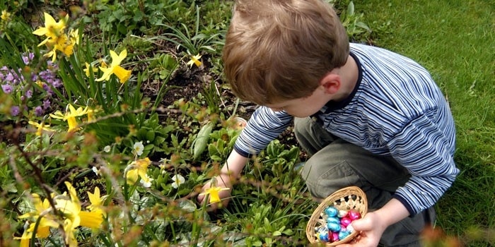 Malý chlapec hledá velikonoční vajíčka ukrytá na zahradě.