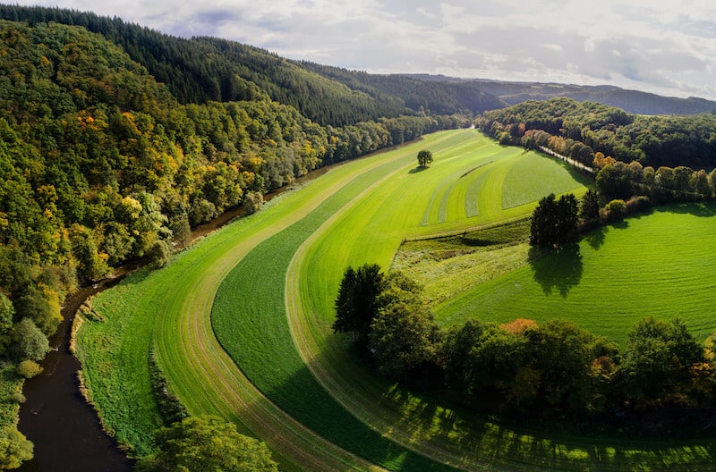 Krásné zelené kopce národního parku Ardennes.