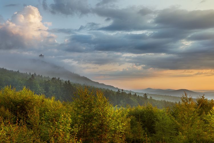 Výhled na Český les. 